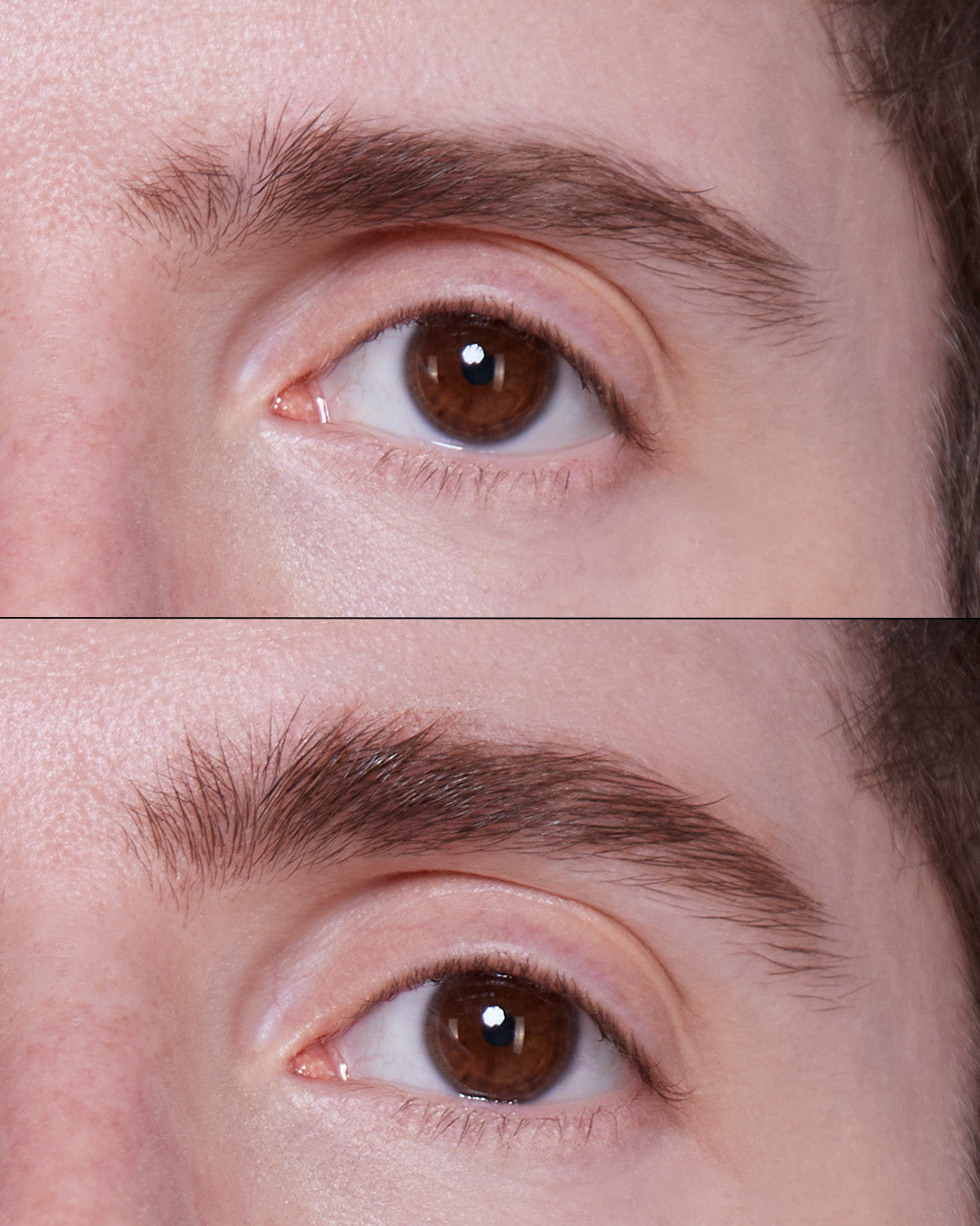 Phyto Brow Serum - Capri
